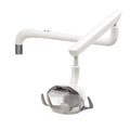 Post Mount Reliance Light, 120 Volt, Gray