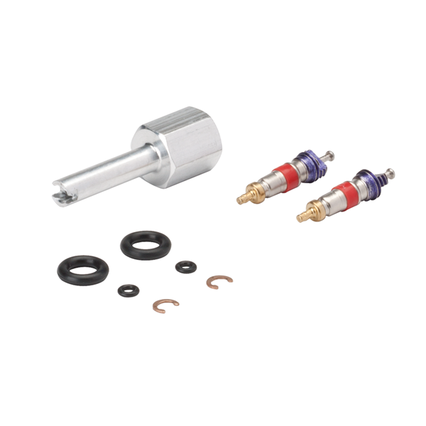 Syringe Repair Kit, Valve Core