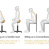 Saddle Stool with Backrest – FSSAD-605